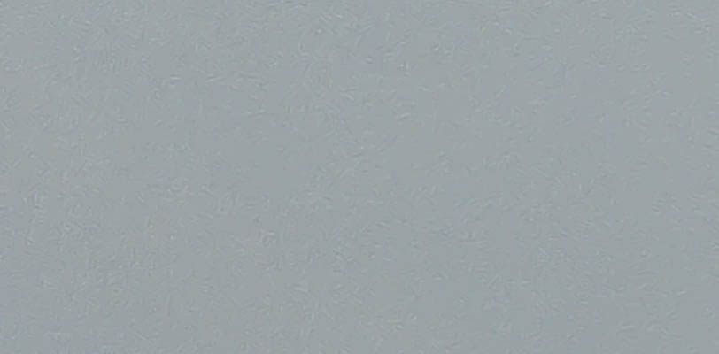 Laminate kingdom màu trơn LK 1162 D